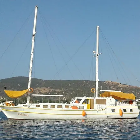 Tekne Phokaia Dill Foça